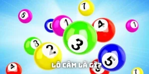 lo-cam-la-gi